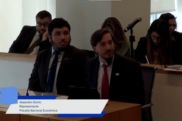 <p>En la audiencia, el abogado y Coordinador de la División Antimonopolios de la FNE, Alejandro Domic</p>