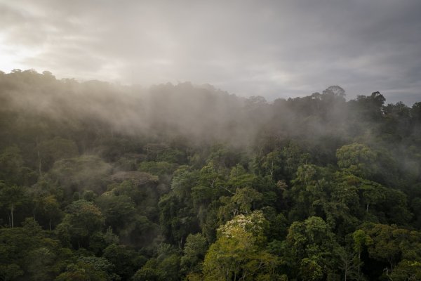 <p>Foto: Bloomberg</p>