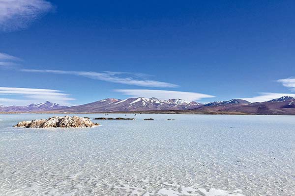<p>Los intereses de Tsingshan, Lithium Chile y Wealth Minerals por explotar los salares prioritarios</p>