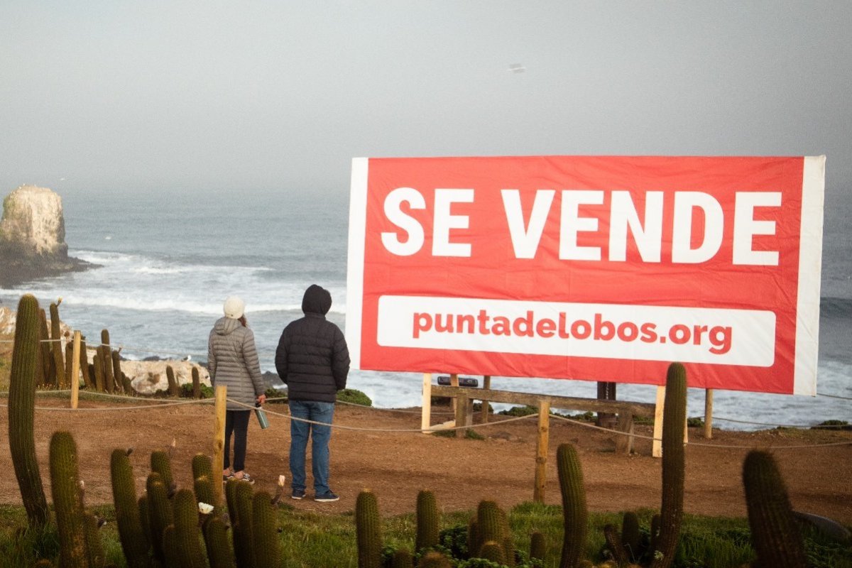 <p>La atrevida campaña de la Corporación Parque Punta de Lobos para atraer nuevos socios</p>
