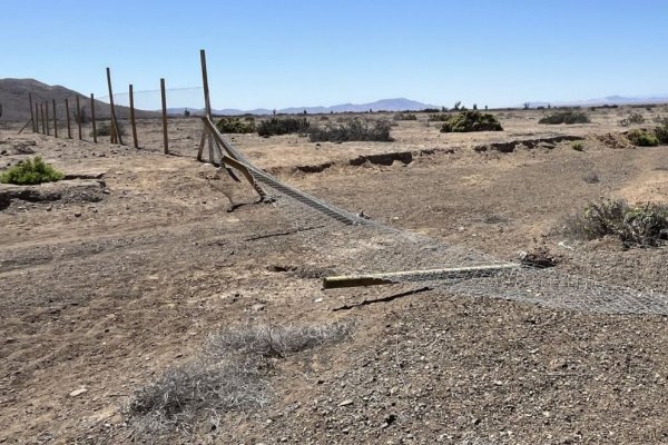 <p>Foto: Superintendencia de Medio Ambiente</p>