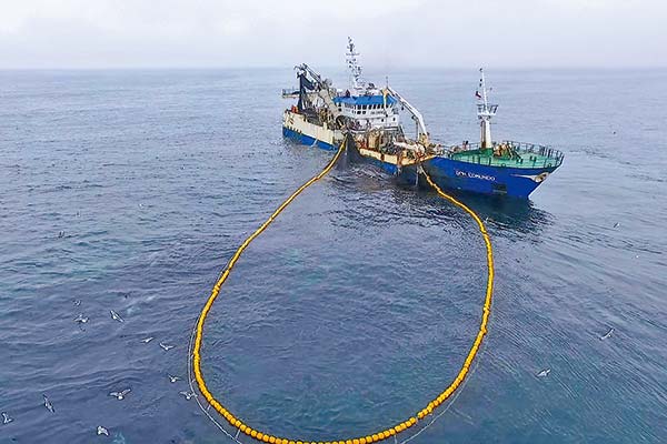<p>La arremetida contra Corpesca, la disputa por el jurel y la amenaza a los Stengel: las controversias que desata la distribución de cuotas propuesta por el Gobierno</p>