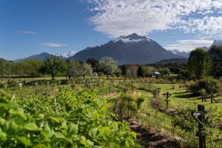 Biósfera Austral: la compañía chilena que lleva la conservación de terrenos privados a Uruguay con una inversión de US$ 10 millones