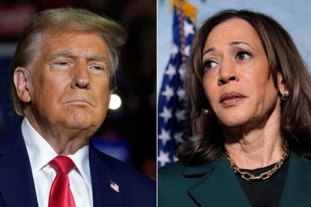 Fitch advierte que victoria de Donald Trump impactará significativamente a Centroamérica por su dependencia de las remesas