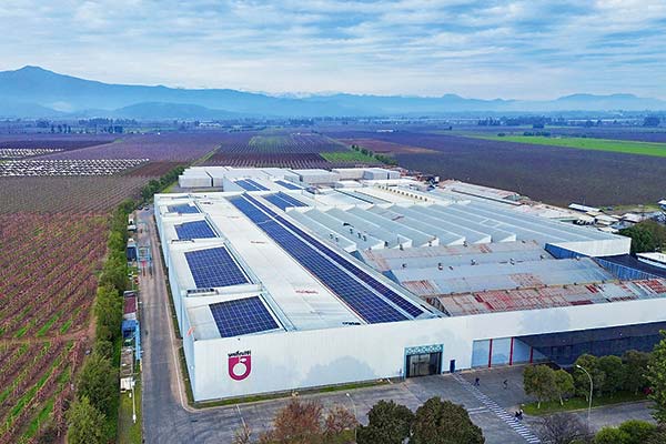 <p>Solarity y Unifrutti anuncian la construcción de siete nuevas plantas solares</p>