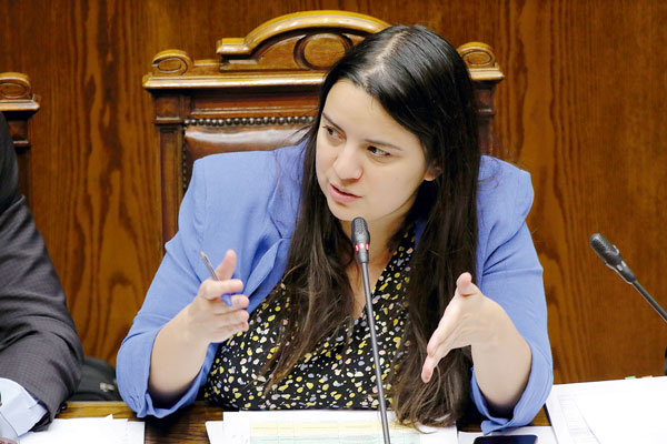 <p>Javiera Martínez, titular de la Dirección de Presupuestos (Dipres) liderará la discusión en la comisión mixta junto con el ministro Mario Marcel. Foto: Agencia Uno</p>