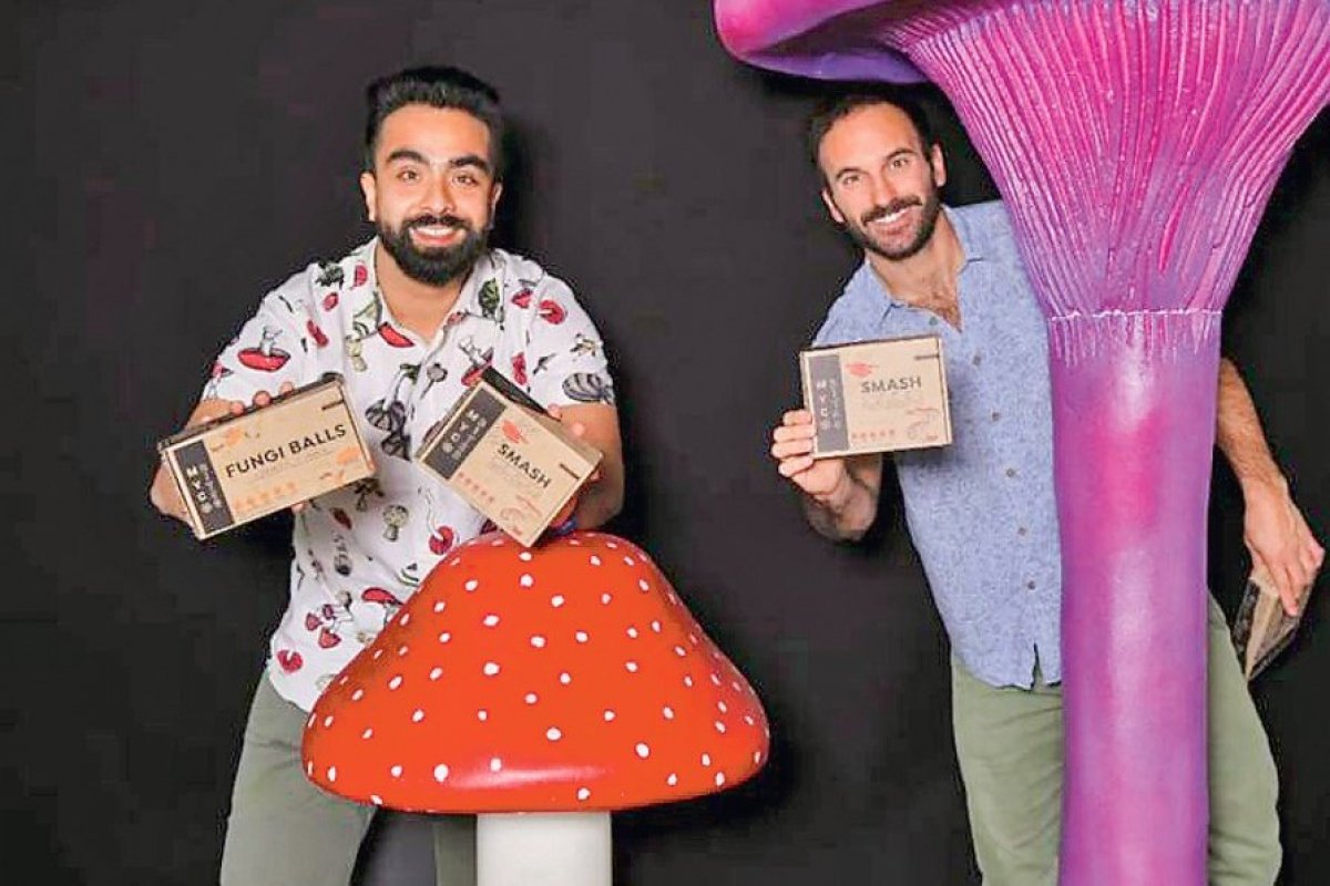 <p>Cómo la foodtech Mycobites llegó a la quiebra</p>