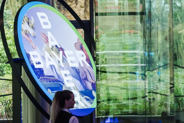 <p>Bayer se hunde en bolsa a su menor nivel en dos décadas tras recortar sus proyecciones de resultados</p>