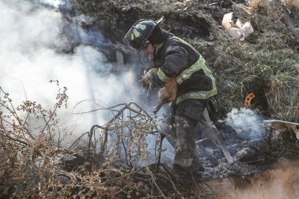 Senapred declara alerta roja y pide evacuar sectores de Viña del Mar, Quilpué y Villa Alemana por incendios forestales