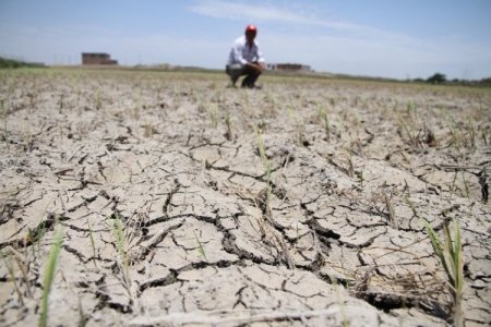 Perú: la crisis hídrica en Piura a dos semanas de que se declarara estado de emergencia