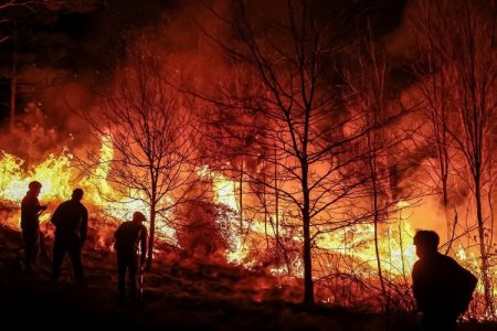 Ecuador entra en estado de emergencia nacional por 60 días ante ola de incendios y sequía