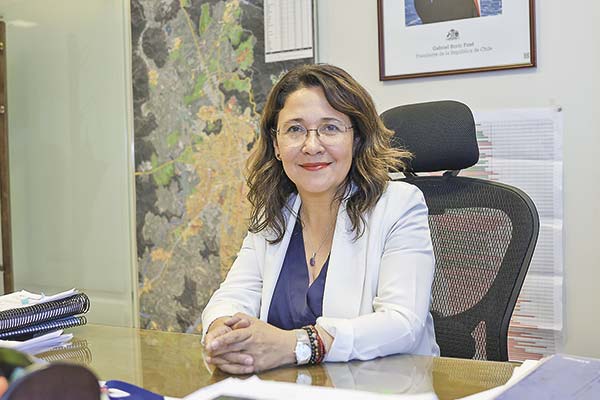 Seremi de Vivienda y permisos de edificación: “No es politización, es más bien falta de coordinación y de regulación”