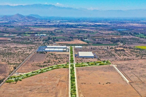 Conaf insiste en que Parque Capital subestima el bosque nativo y compañía reitera su disposición a materializar mitigaciones
