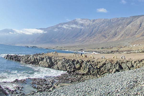 Las reuniones entre Colbún y el SEA en medio de la suspensión de proyecto por US$ 1.400 millones