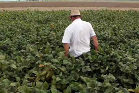Número de adquisiciones y fusiones de empresas agro en Brasil aumenta un 125%