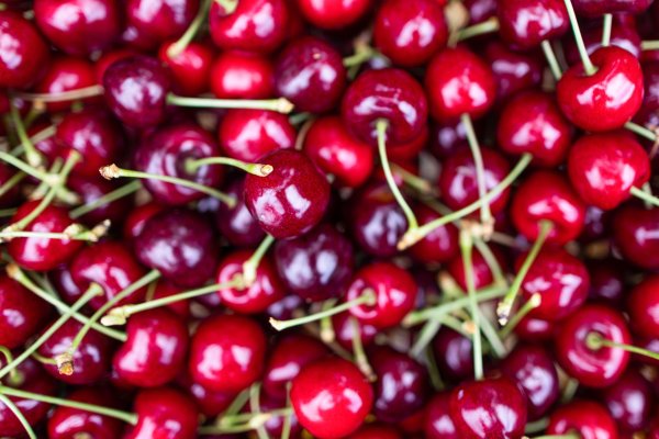 Chile se encamina a un récord de exportaciones agrícolas gracias al auge de las cerezas