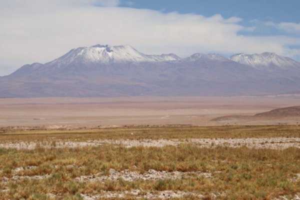 <p>Tribunal Ambiental de Antofagasta rechaza reclamación de Escondida y confirma histórica multa de US$ 8,5 millones por daño ambiental irreparable</p>