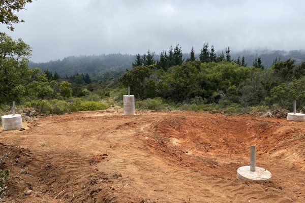 <p>SMA ordena medidas urgentes y transitorias contra firma de transmisión eléctrica por eventual impacto a bosque nativo</p>