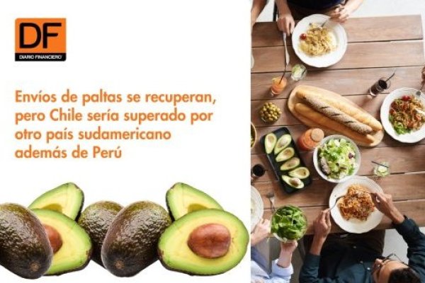 <p>DATA DF | Envíos de paltas se recuperan, pero Chile sería superado por otro país sudamericano además de Perú</p>