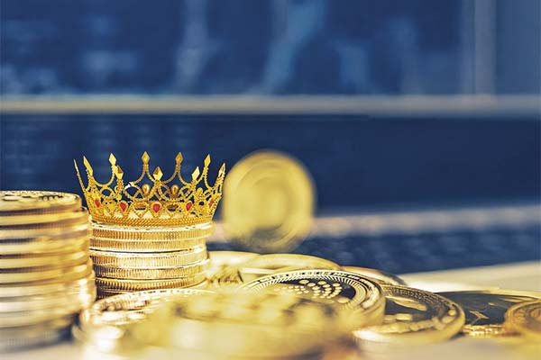 Los príncipes herederos de las criptomonedas que podrían "ganar, ganar, ganar" con Trump