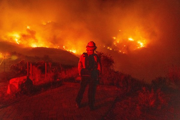 <p>Cada año, los incendios forestales provocan la pérdida de 59.570 kilómetros cuadrados adicionales de cobertura arbórea. Foto: Bloomberg</p>