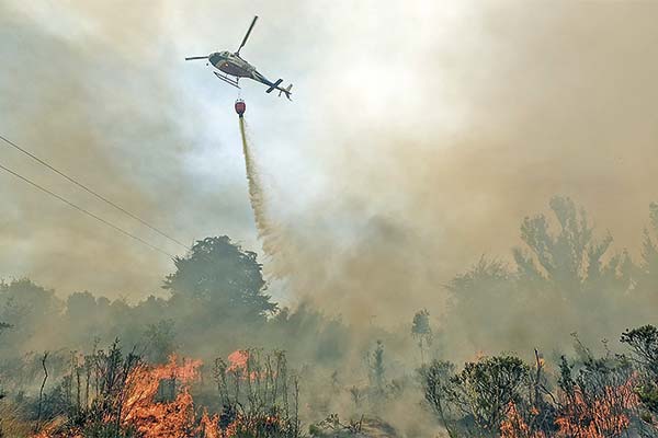 Arauco invertirá US$ 25 millones en centro para resguardar equipos contra incendios