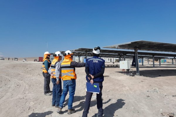 SMA renueva medida de detención de la construcción de proyecto fotovoltaico por impacto en golondrina de mar