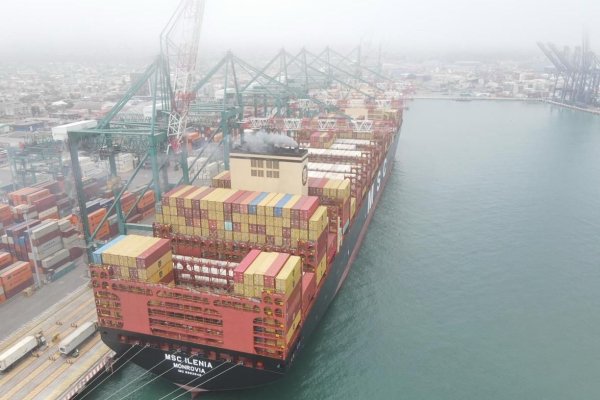 DP World San Antonio duplica volumen exportado en temporada de cerezas 2024