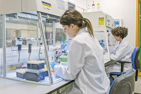 <p>Gasto en I+D sigue entre los más bajos de la OCDE y Hacienda prepara nuevos incentivos tributarios</p>