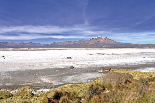 <p>Tribunal Ambiental extiende por cinco meses plazo para que Quiborax opere parcialmente en el Salar de Surire</p>