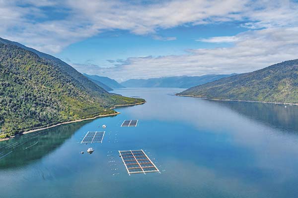 <p>Salmones Ventisqueros critica trabas regulatorias y dice que han esperado 14 años para relocalizar concesiones</p>