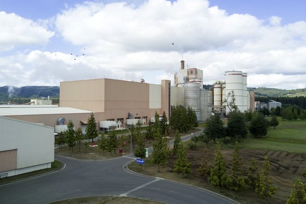 <p>Icónica planta de Arauco en Valdivia paralizada: trabajadores cumplen 35 días en huelga legal</p>