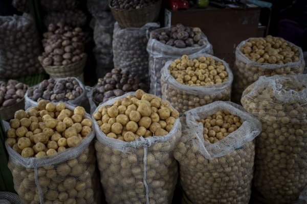 <p>Precio de la Canasta de Alimentos anota en diciembre su mayor caída mensual en más de una década de la mano de las papas</p>
