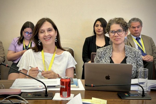 Comisión de Hacienda de la Cámara de Diputados aprueba reforma a la SMA y avanza a Sala