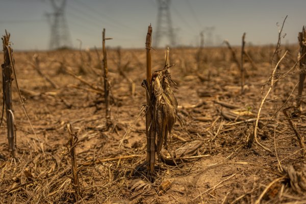 Megasequías se extienden a causa del cambio climático y traen fuertes implicancias globales