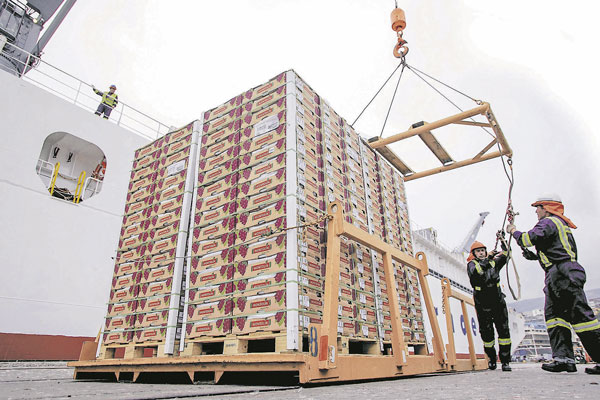 Corte Suprema da portazo a 23 exportadoras chilenas y rechaza recurso de queja en medio de demanda contra MSC
