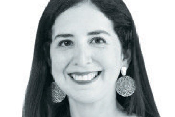 Riesgos de discrecionalidad en la reforma a la Superintendencia de Medio Ambiente