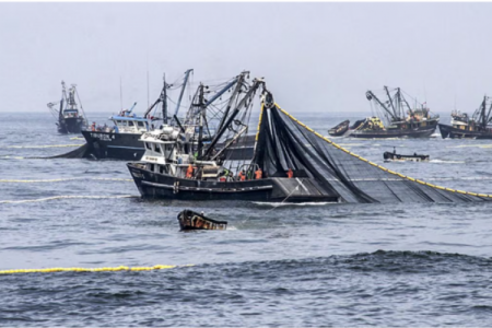 Pesca ilegal: navíos extranjeros “huyen” del mar peruano