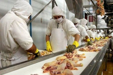 Principal avícola de Argentina profundiza recortes de personal en medio de crisis