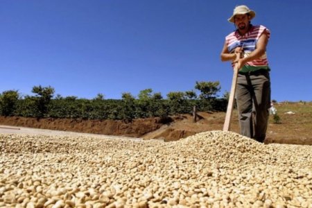 Agro y textiles: los sectores que protege el TLC entre EEUU y Colombia