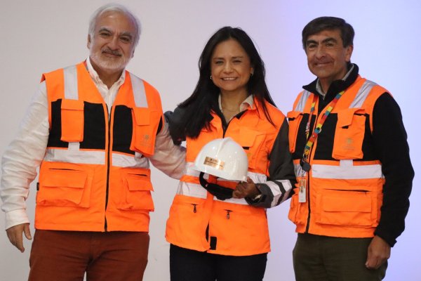 <p>Rubén Alvarado, Claudia Domínguez y Julio Díaz.</p>
