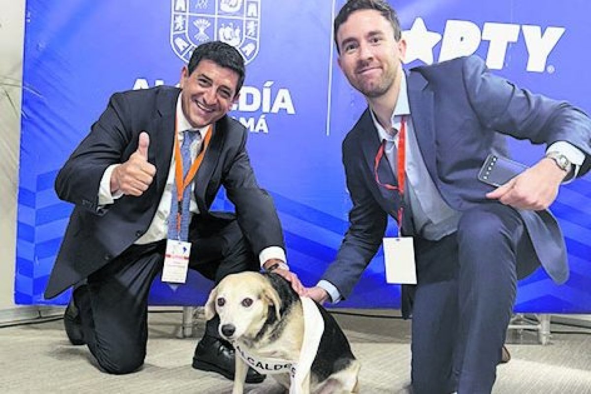<p>Una comida donde Pablo Terrazas con exministros, senadores y la candidata Matthei: la otra cita del Davos latinoamericano</p>