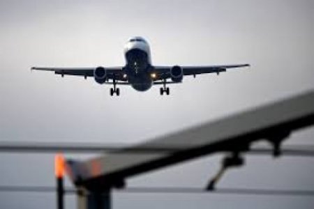 Avianca, Latam y Wingo son las aerolíneas que más pasajeros movilizaron en 2024