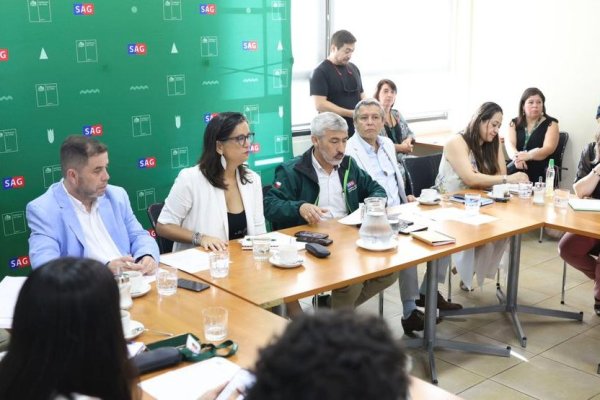 SAG alerta por inminente llegada de la gripe aviar a Chile tras ser detectada en Perú