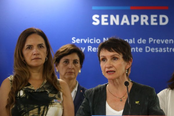 Tohá por alerta roja: "Es crucial incrementar la capacidad de control para evitar que los grupos que provocan incendios intencionales tengan éxito"