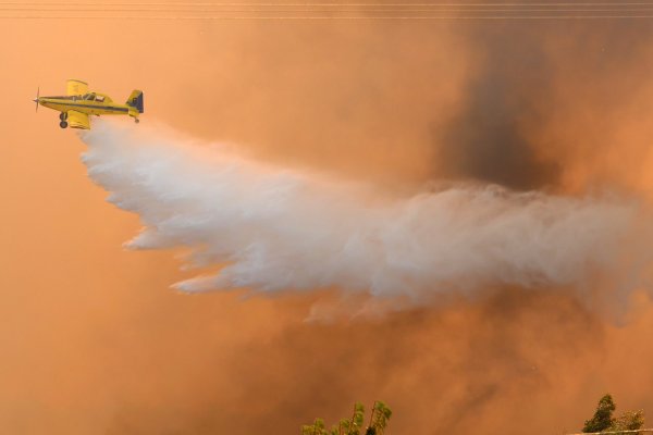 Incendios forestales: Tohá informa 44 mil hectáreas afectadas en lo que va del verano y casi la mitad se concentra en La Araucanía