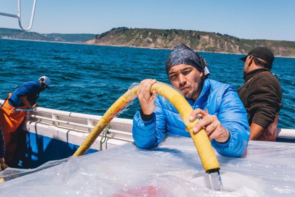 Emprendedores crean bebida isotónica con agua de mar de Lebu, y se expandirán al Caribe y México