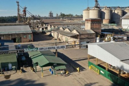 Cerealera argentina Vicentin perdió US$ 70 millones tras 27 meses sin poder cerrar su concurso