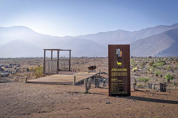 Dominga: Gobierno apela contra fallo del Tribunal Ambiental y lo acusa de “ilegal” e “inconstitucional”