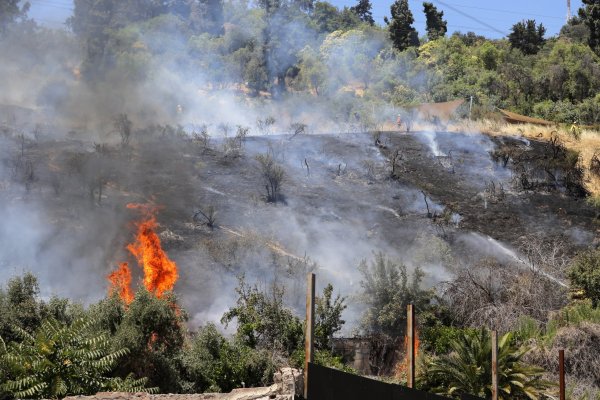 Senapred declara Alerta Roja por incendio forestal que provoca corte de rutas y evacuación en sector en la comuna de Peñaflor